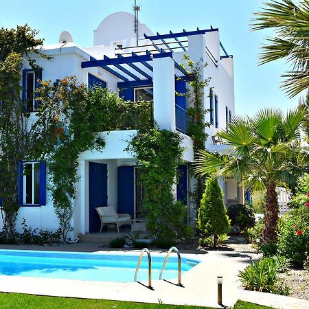 Latchi Beach Front Villa - Private Heated Pool - Amazing Uninterrupted Sea Views Полис Екстериор снимка